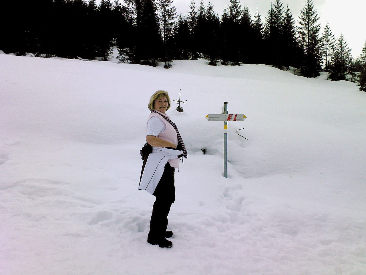 snow winter hiking lilli free photo