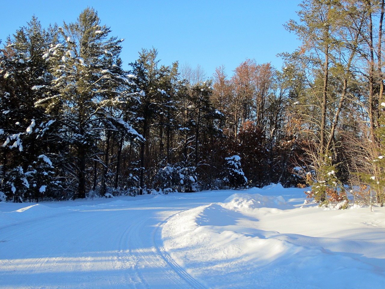 snow road lane free photo