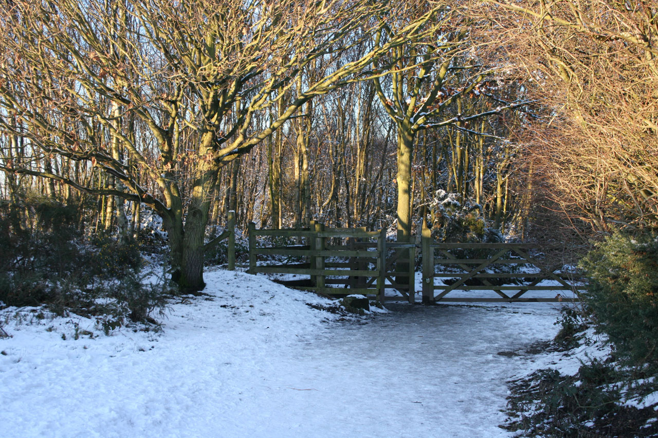 snow gate wooden free photo