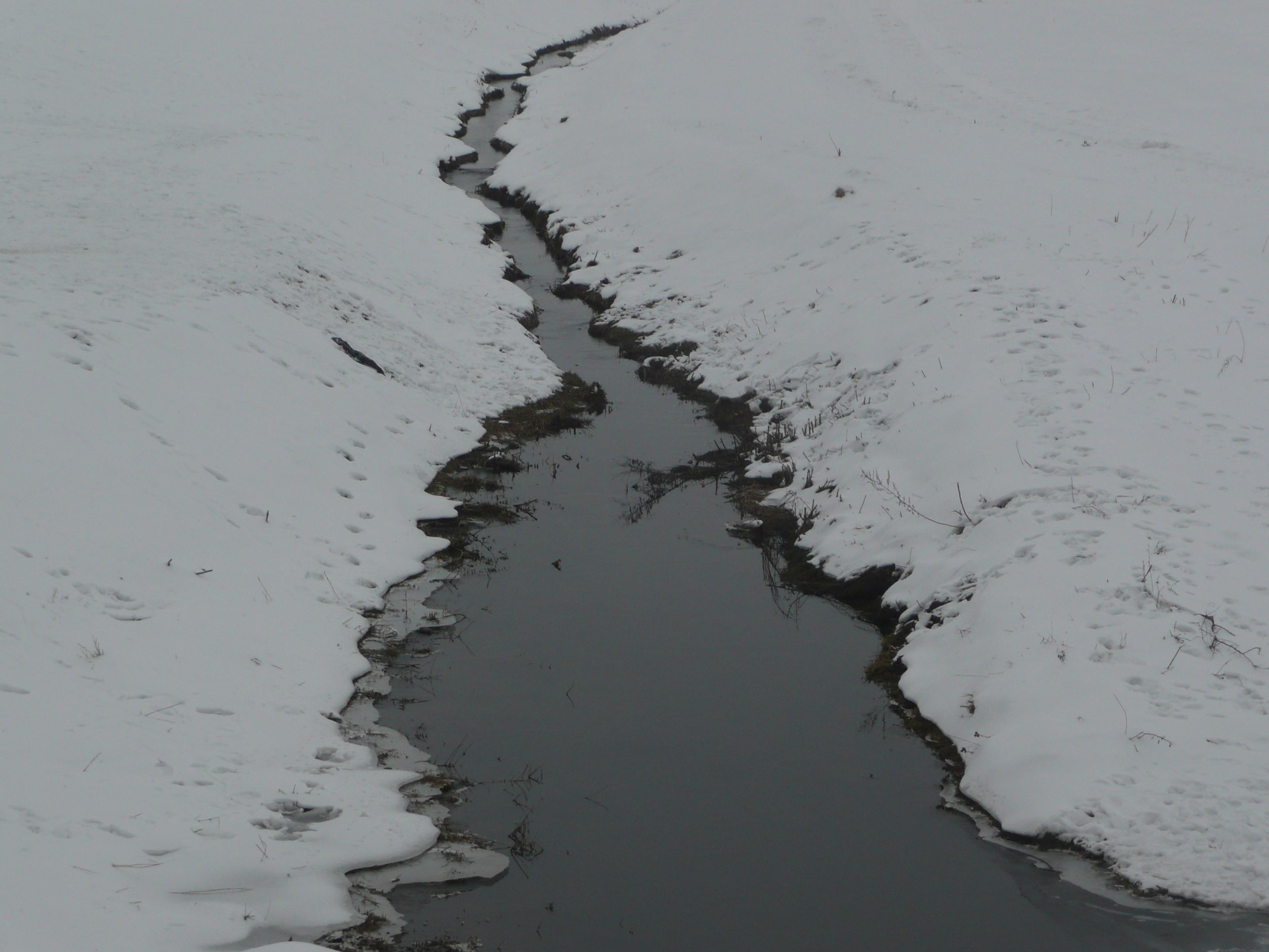 snow stream season free photo