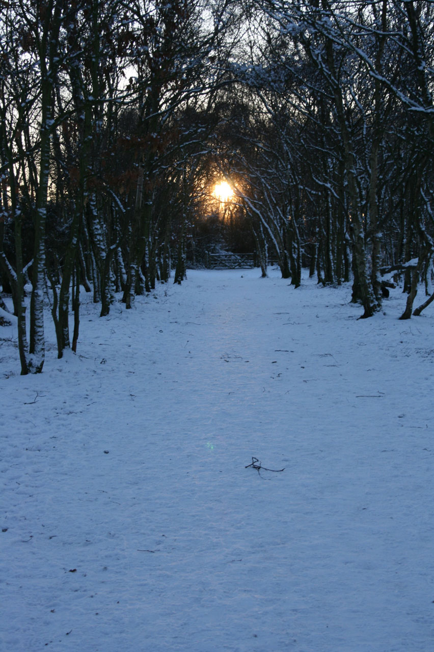 snow gate wooden free photo