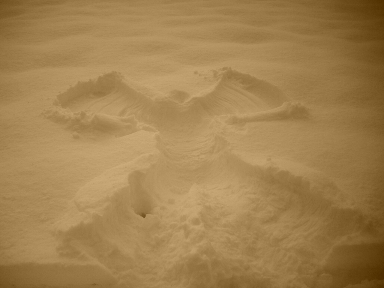 snow angel snow figure free photo