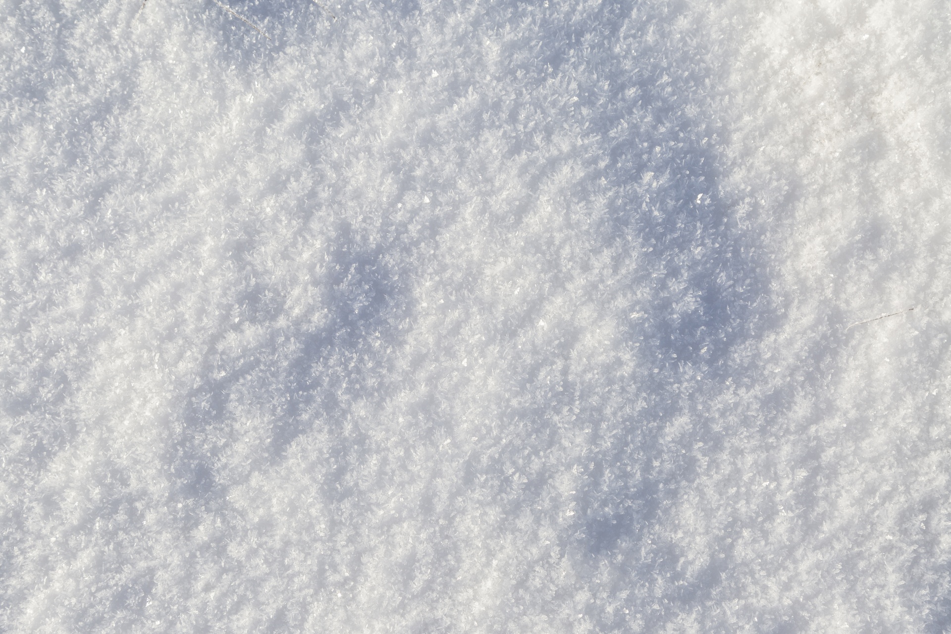 snow backgrounds snowing free photo
