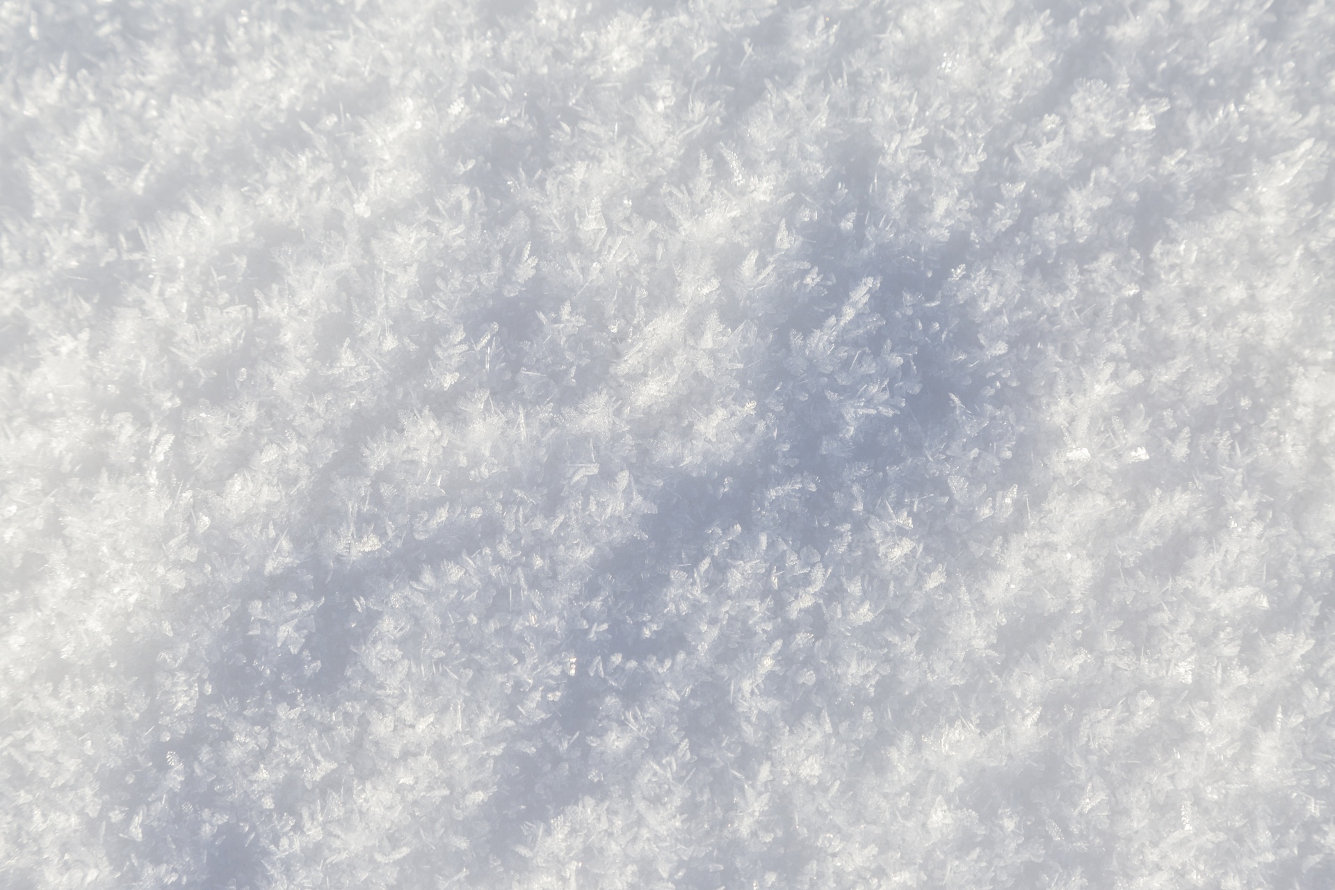 snow backgrounds snowing free photo