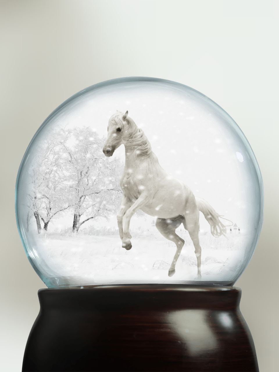 snow ball play horse snow free photo