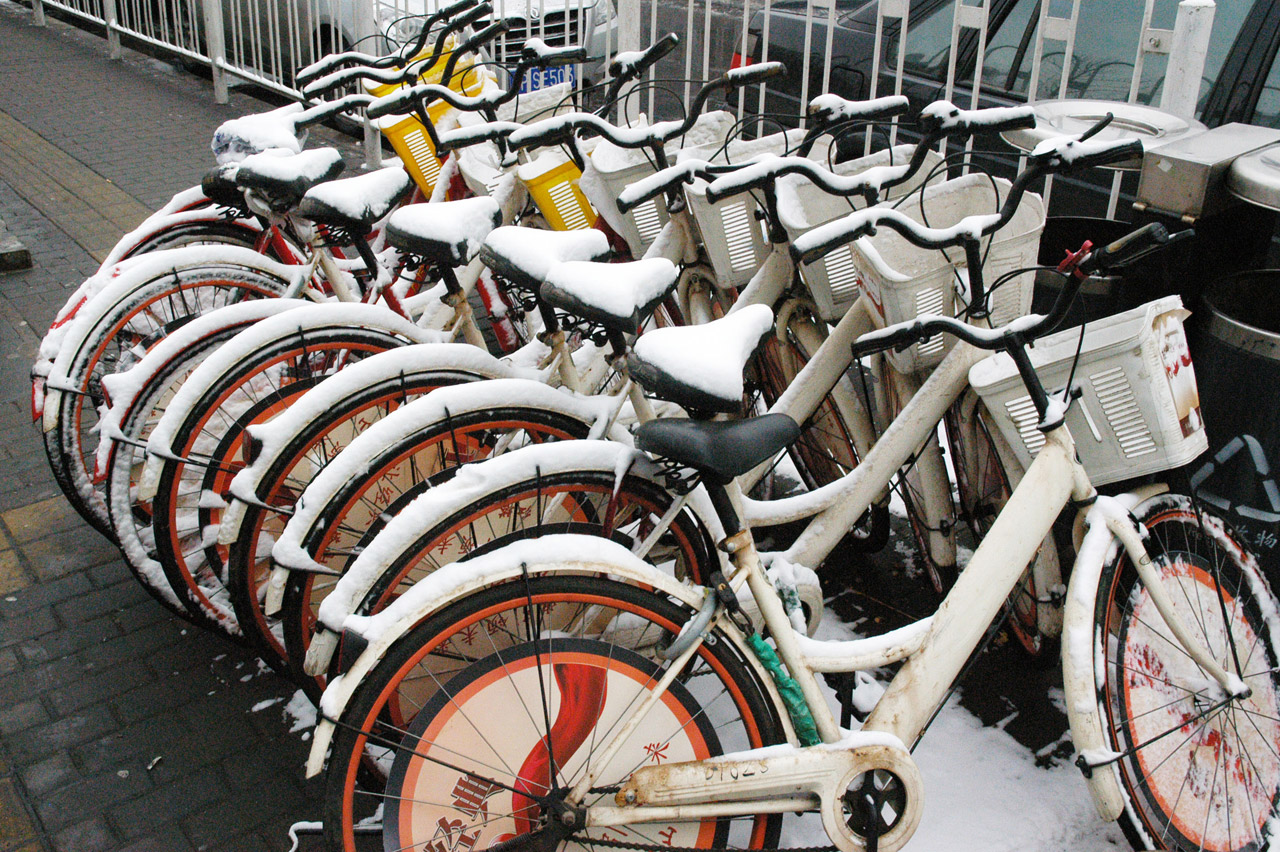 bikes bike bicycles free photo