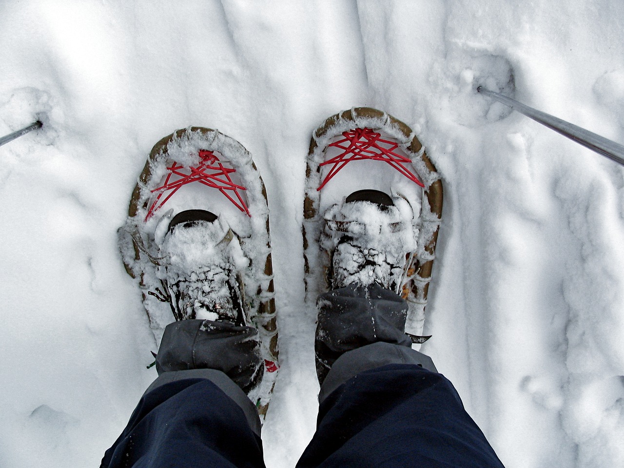 snow boots snow tourism free photo