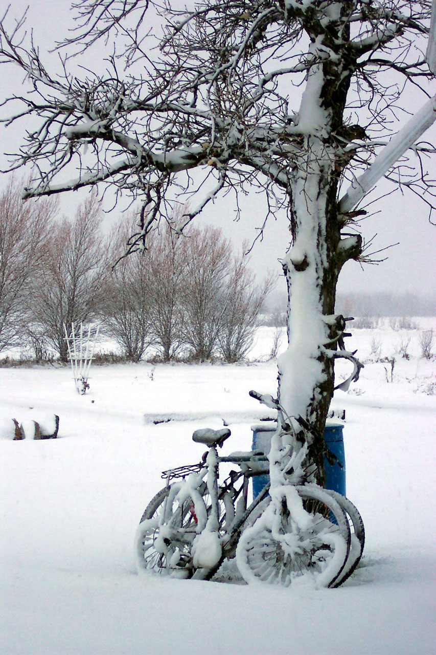 bicycle winter snow free photo