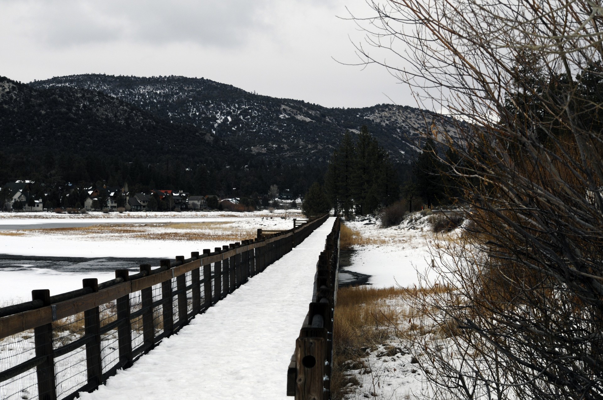 bridge snow wood free photo