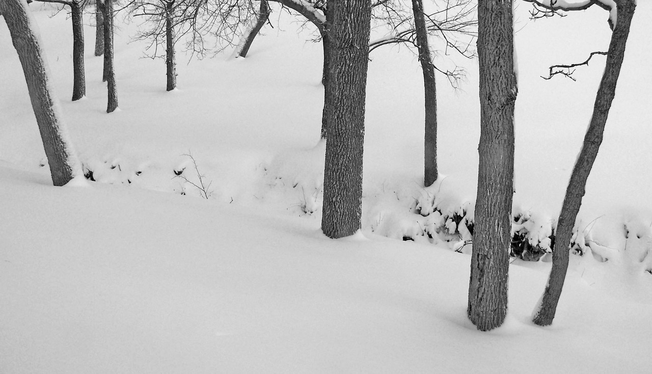 creek snow winter free photo