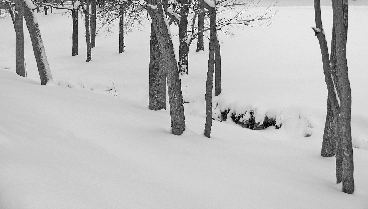 creek snow winter free photo