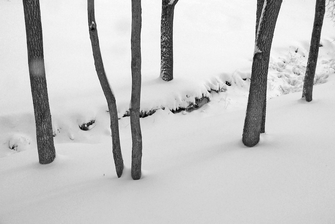 creek snow winter free photo