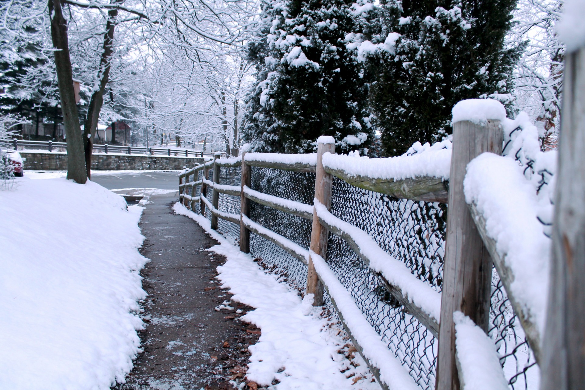 snow snow flakes fence free photo