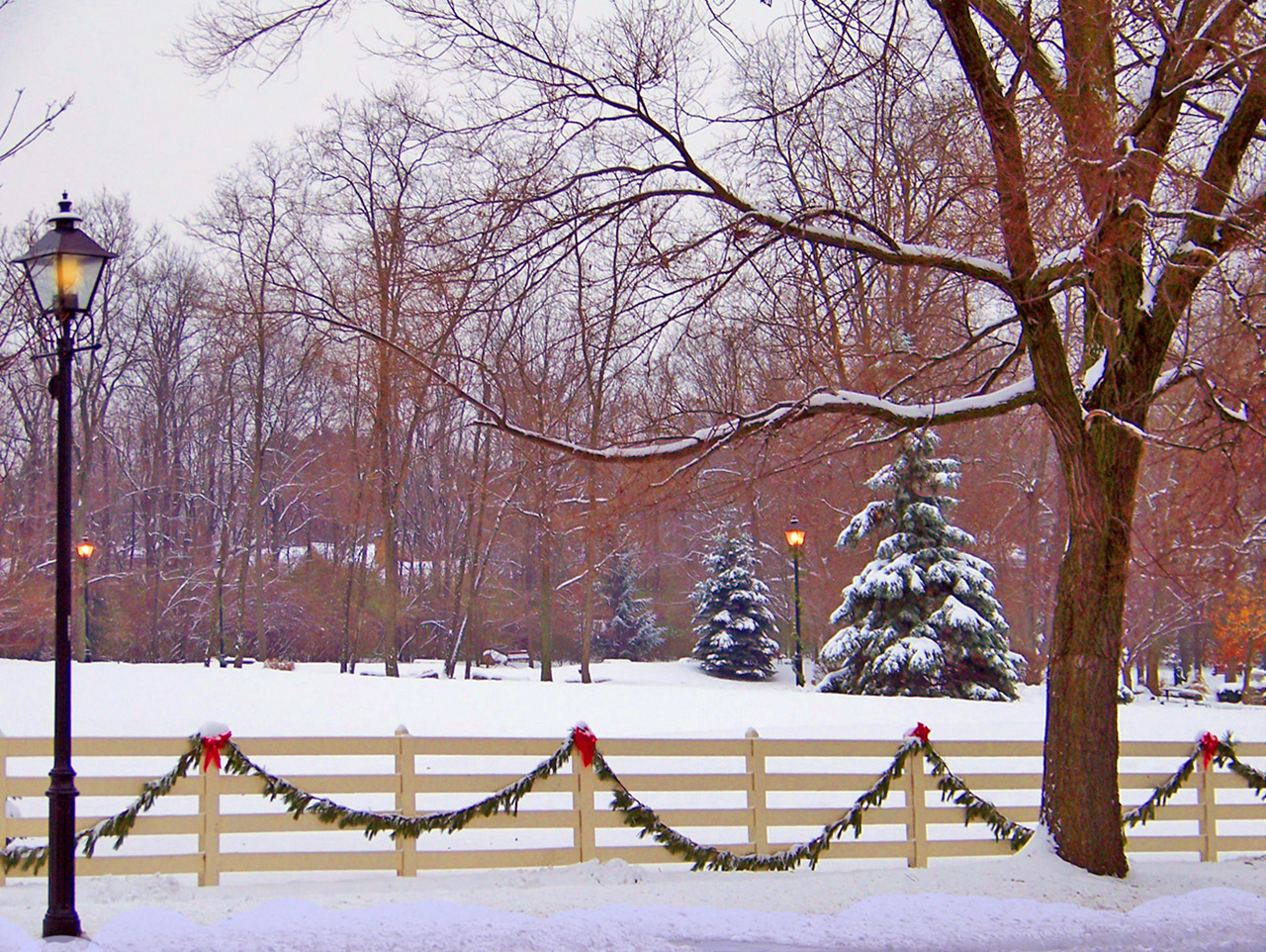 snow field fence free photo