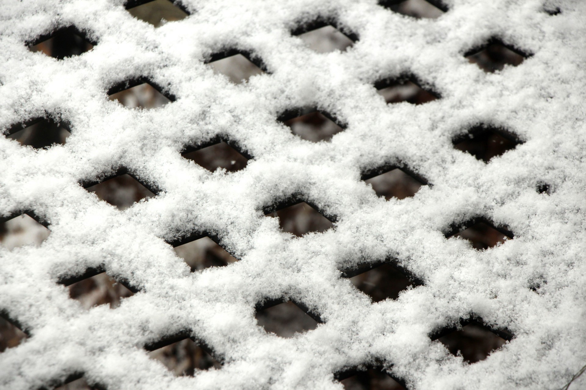 snow grid snow covered free photo