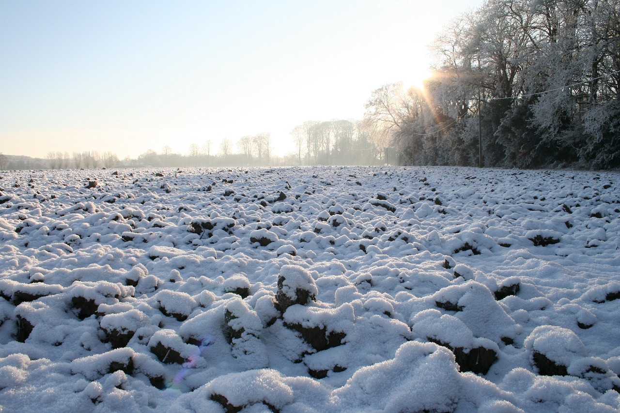 snow covered ground icy winter first snow free photo