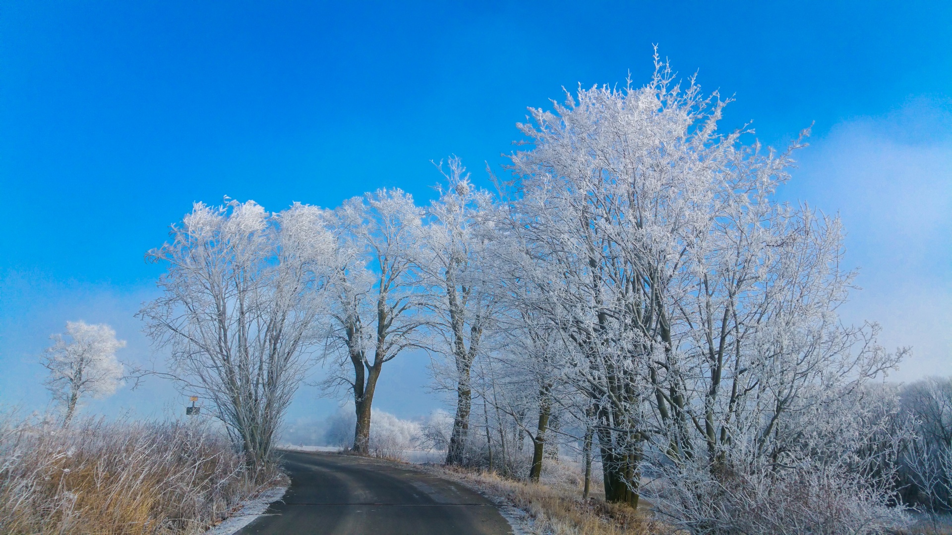 blue cold frost free photo