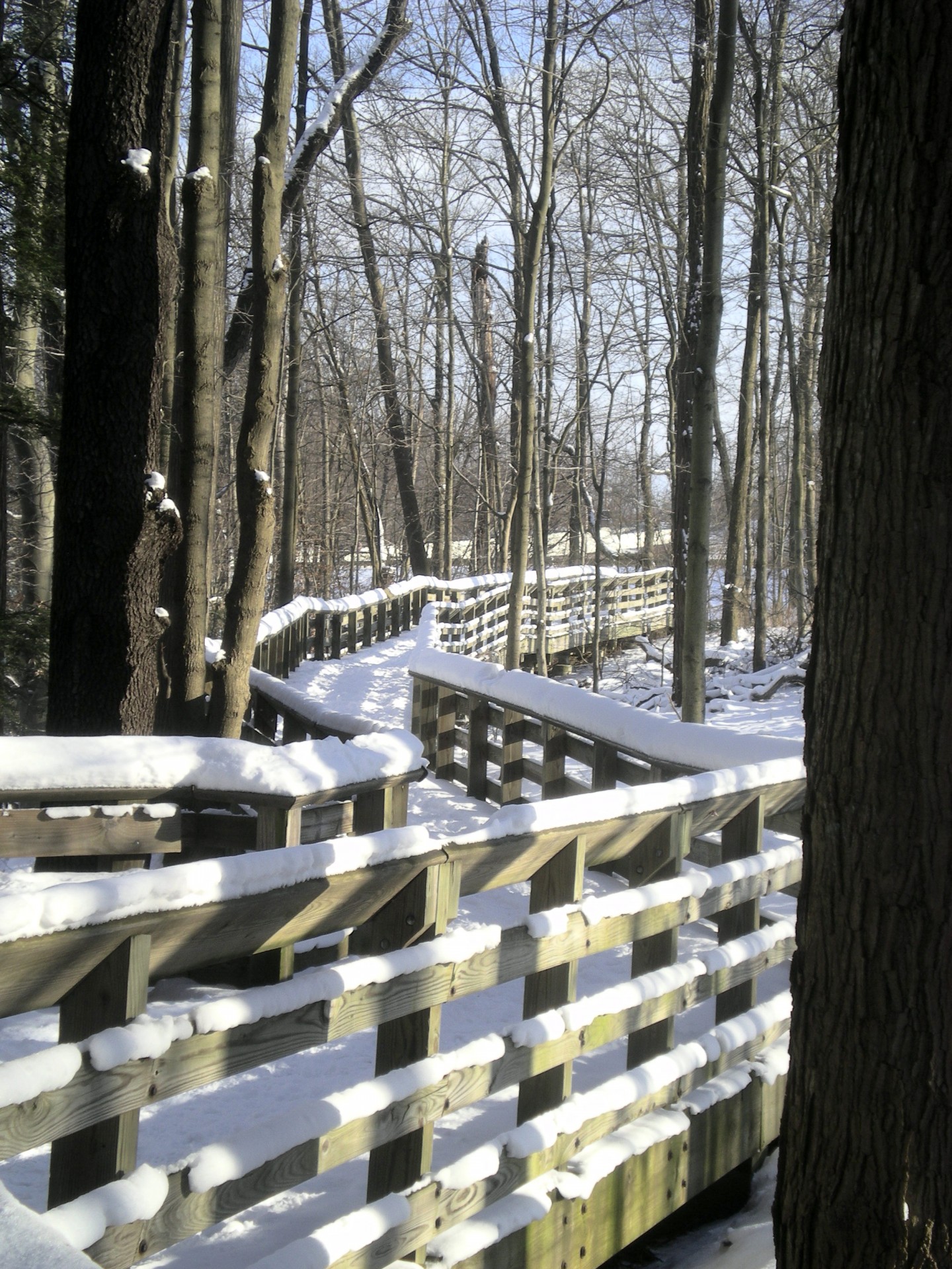 walkway path wooden rails free photo