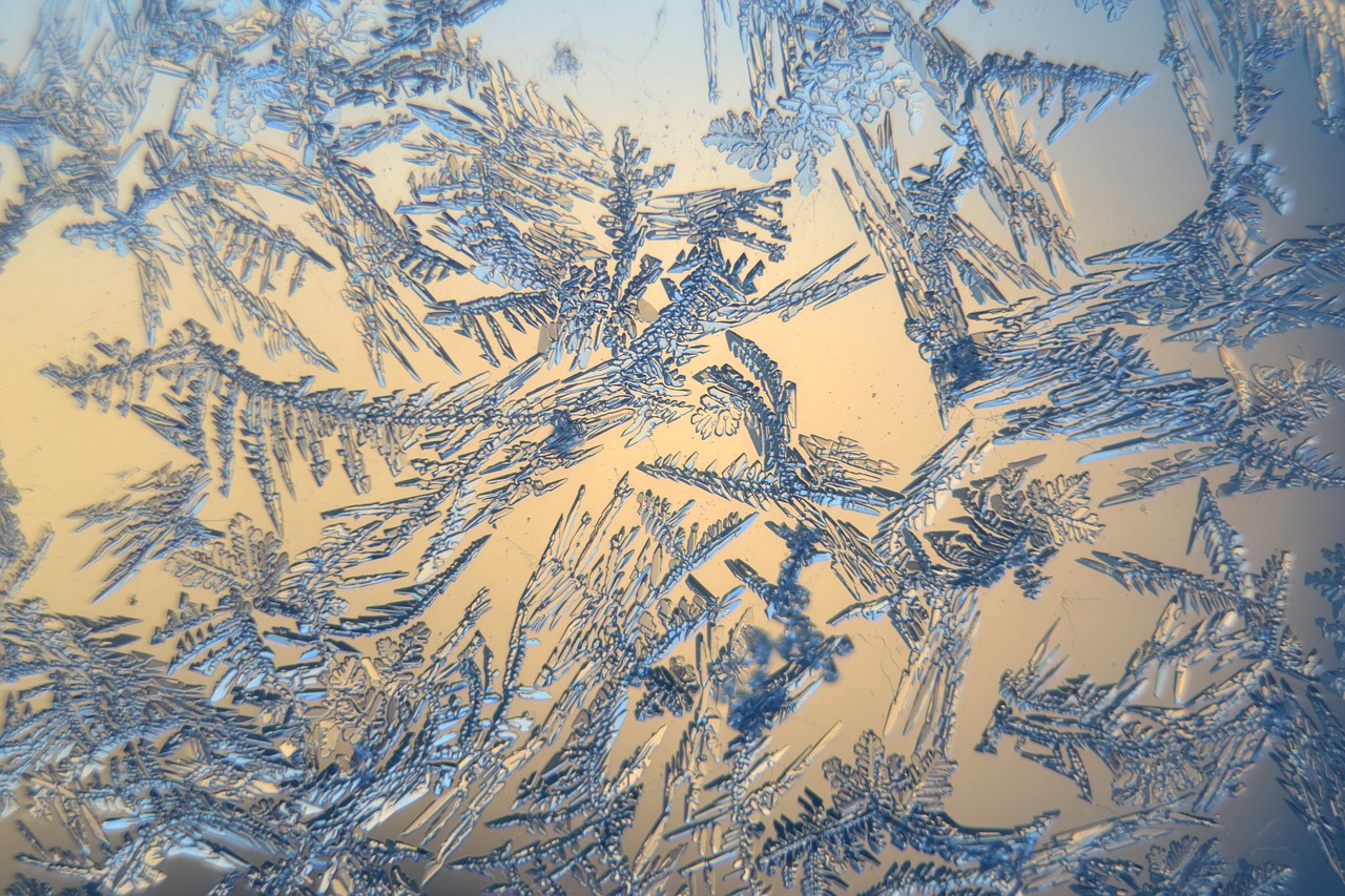 snow crystals winter frosty free photo