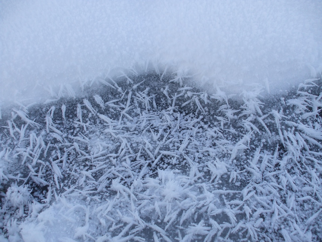 snow crystals frost frozen free photo