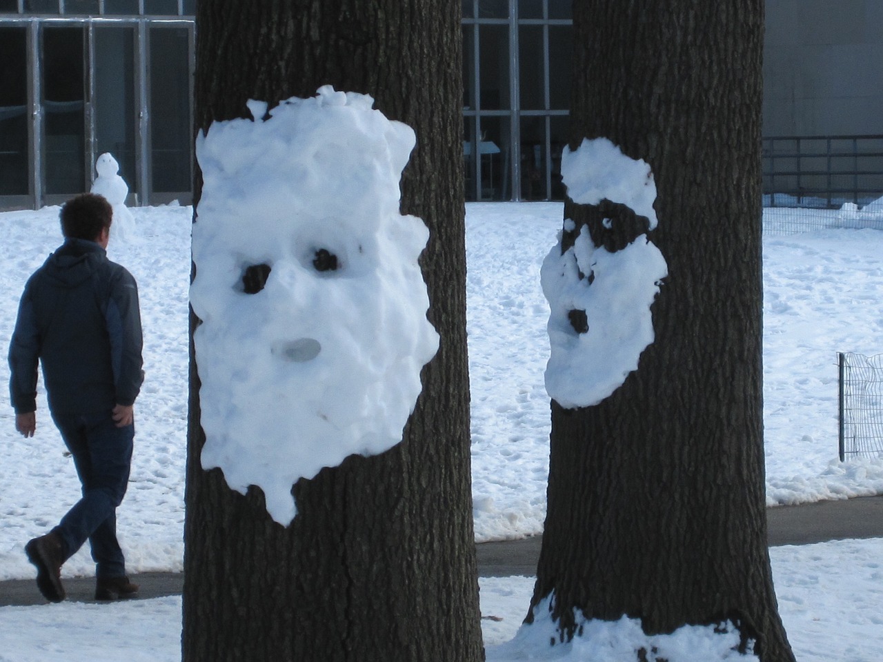 snow face winter fun free photo