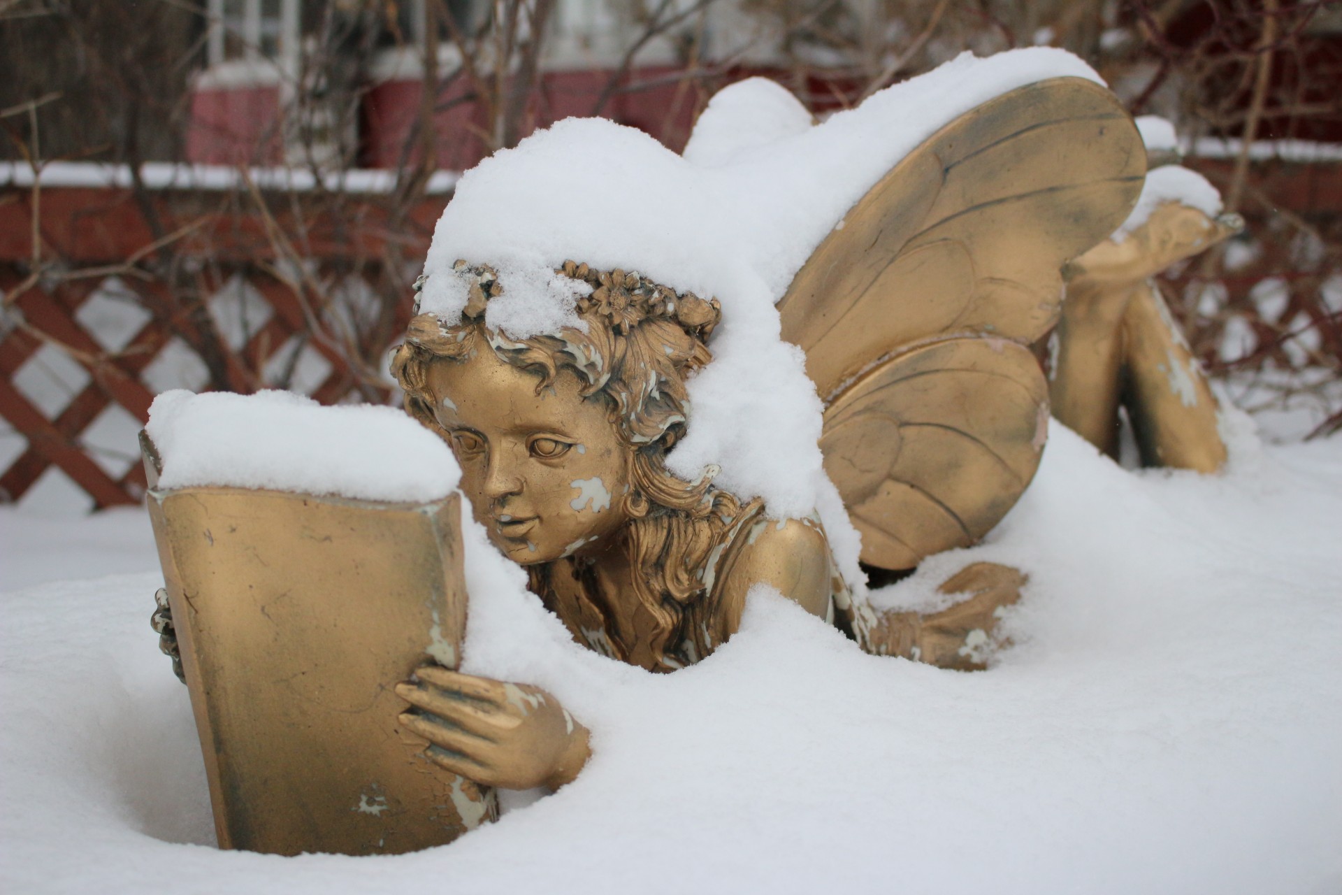 snow fairy statue free photo