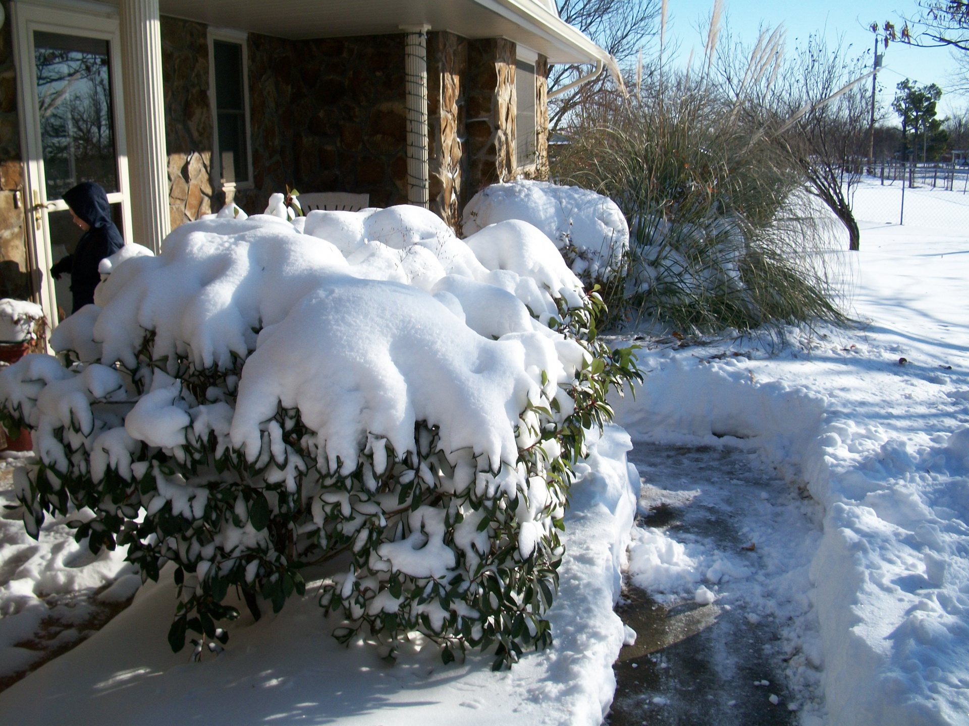 Edit free photo of Snow,oklahoma,norman,snow in oklahoma,free pictures