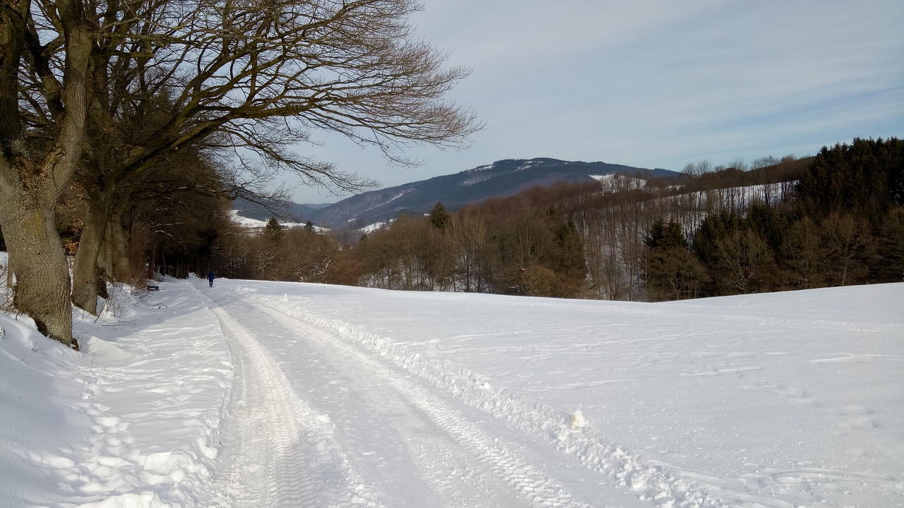 snow landscape winter scene snow free photo