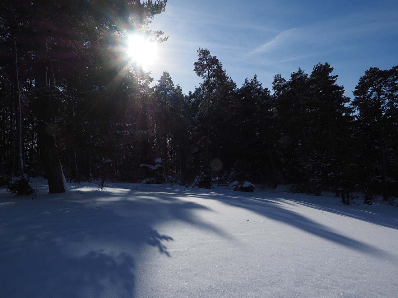 snow landscape winter sun free photo