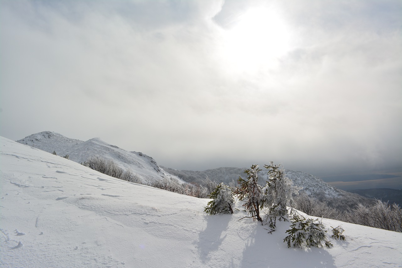 snow landscape sun free photo