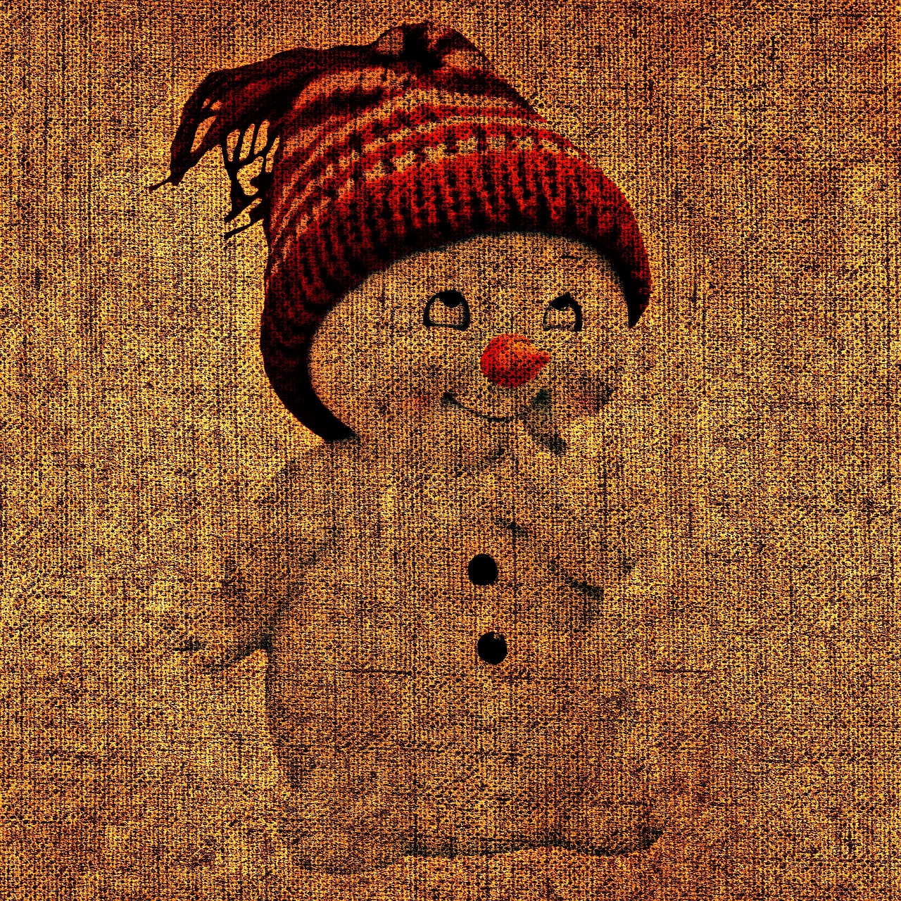 snow man tissue structure free photo