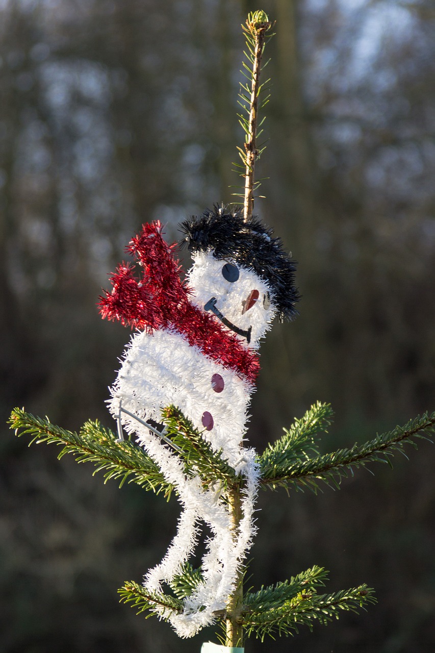 snow man decoration christmas free photo