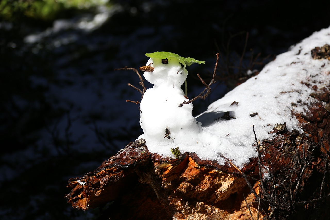 snow man sneeuwpop cute free photo