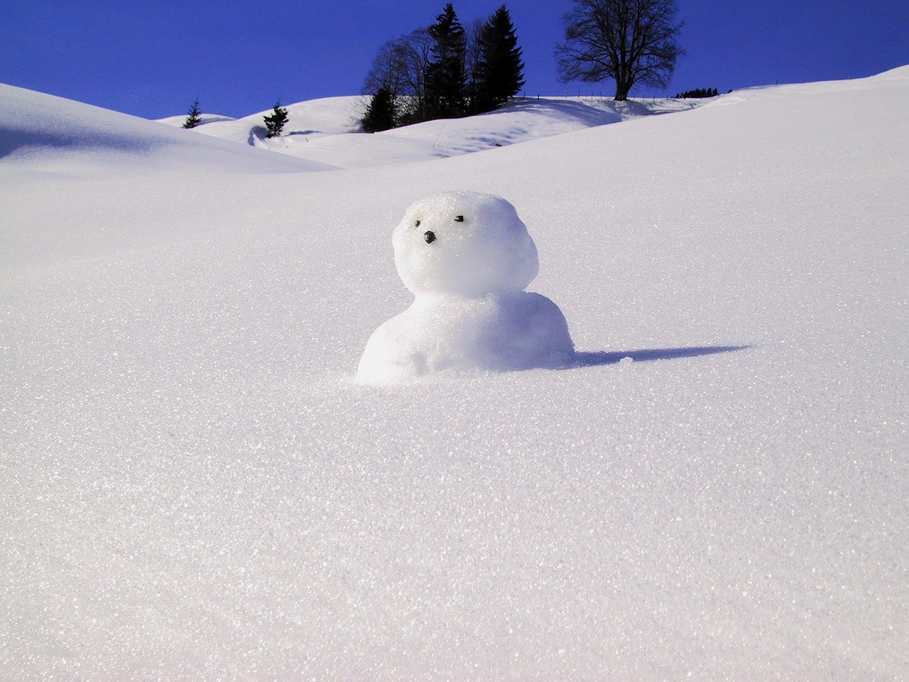 snow man snow winter free photo