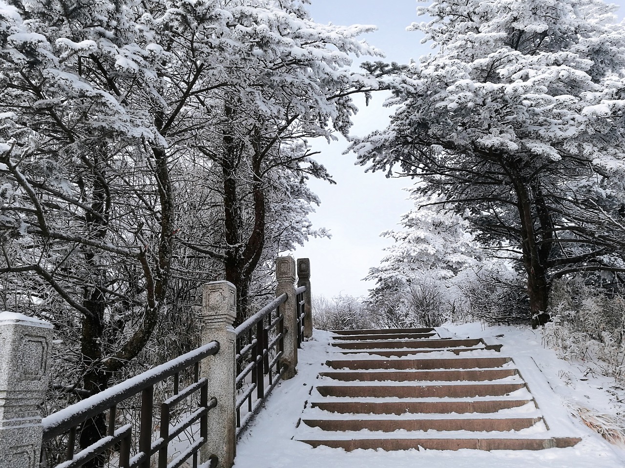 snow mountain forest emeishan free photo