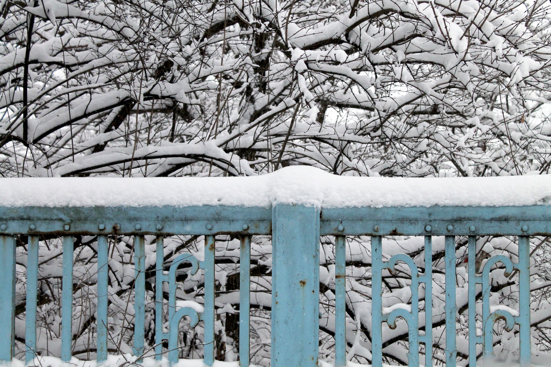 snow railing snow flakes free photo