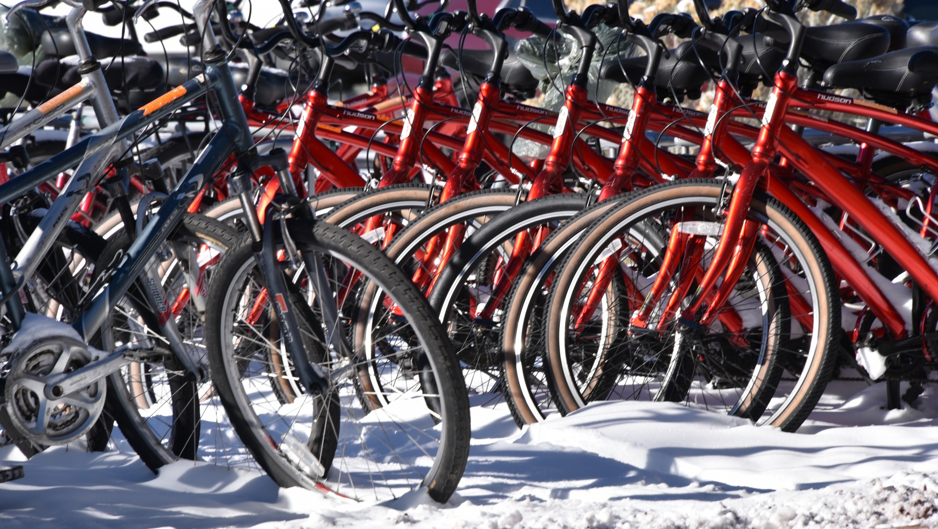 bicycles bikes snow free photo