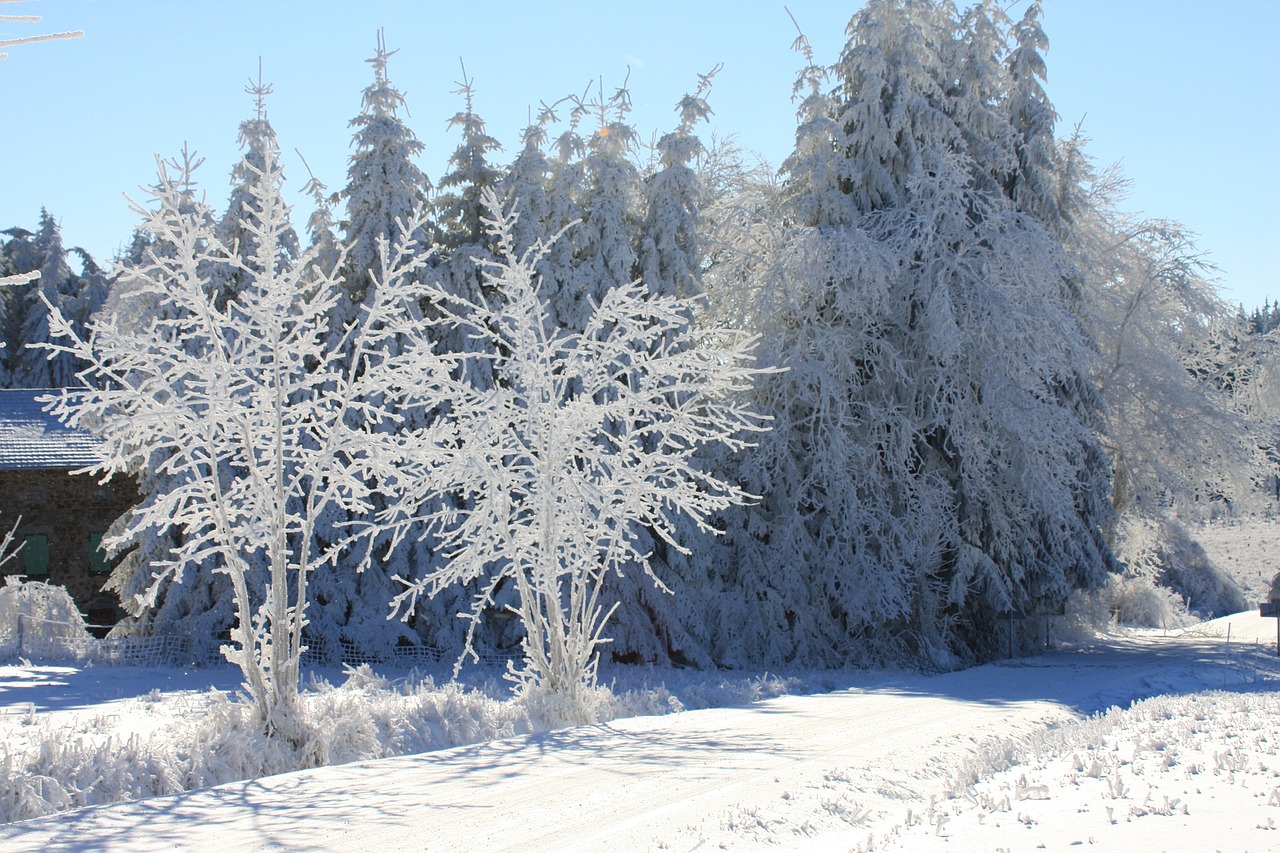 snow scene france auvergne free photo