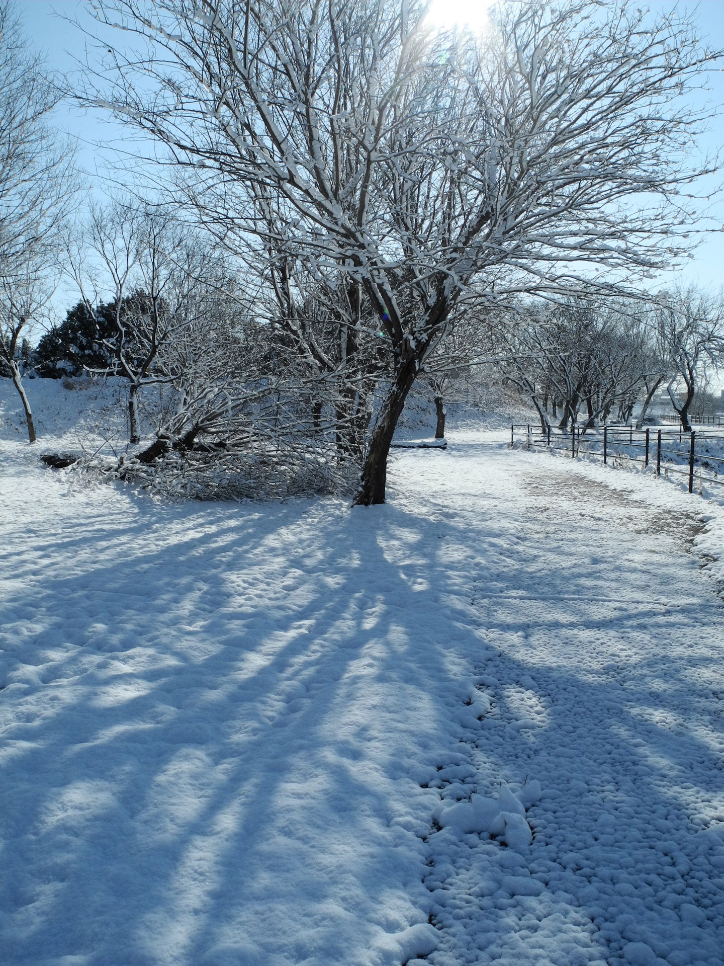 snow gorokugawa gifu free photo