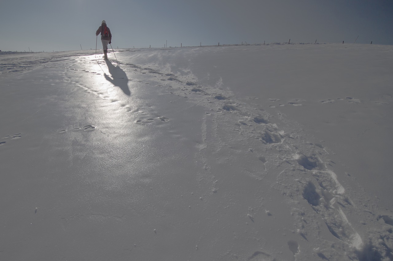 snow shoe hike winter traces free photo