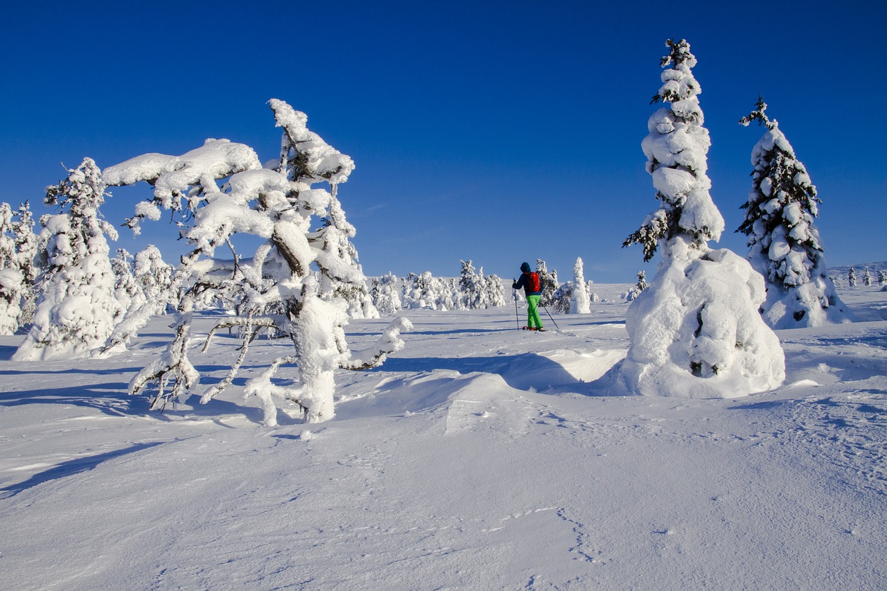 snow shoe snow shoe run finland lapland free photo