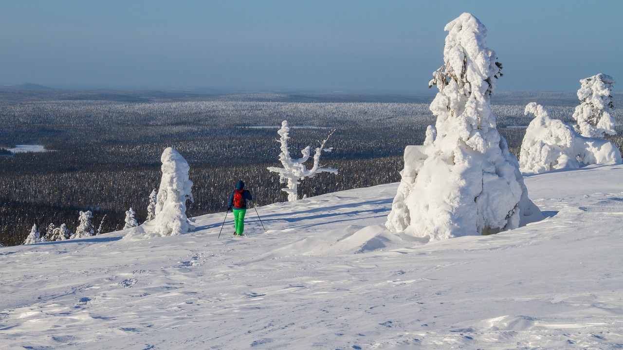 snow shoe snow shoe run finland lapland free photo