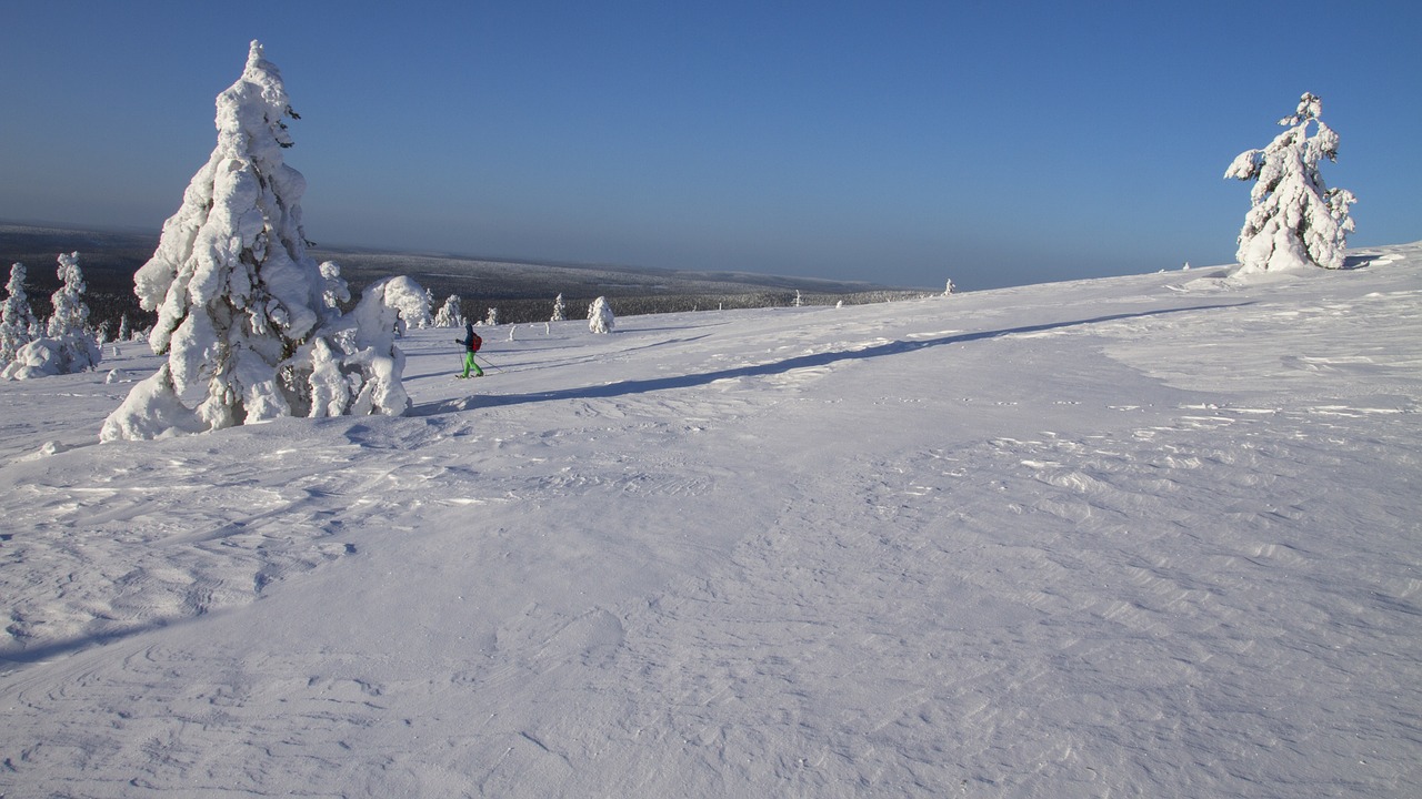 snow shoe snow shoe run finland lapland free photo