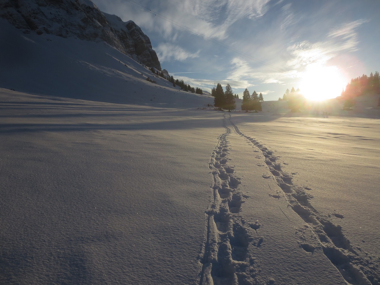 snow tracks wintry trace free photo