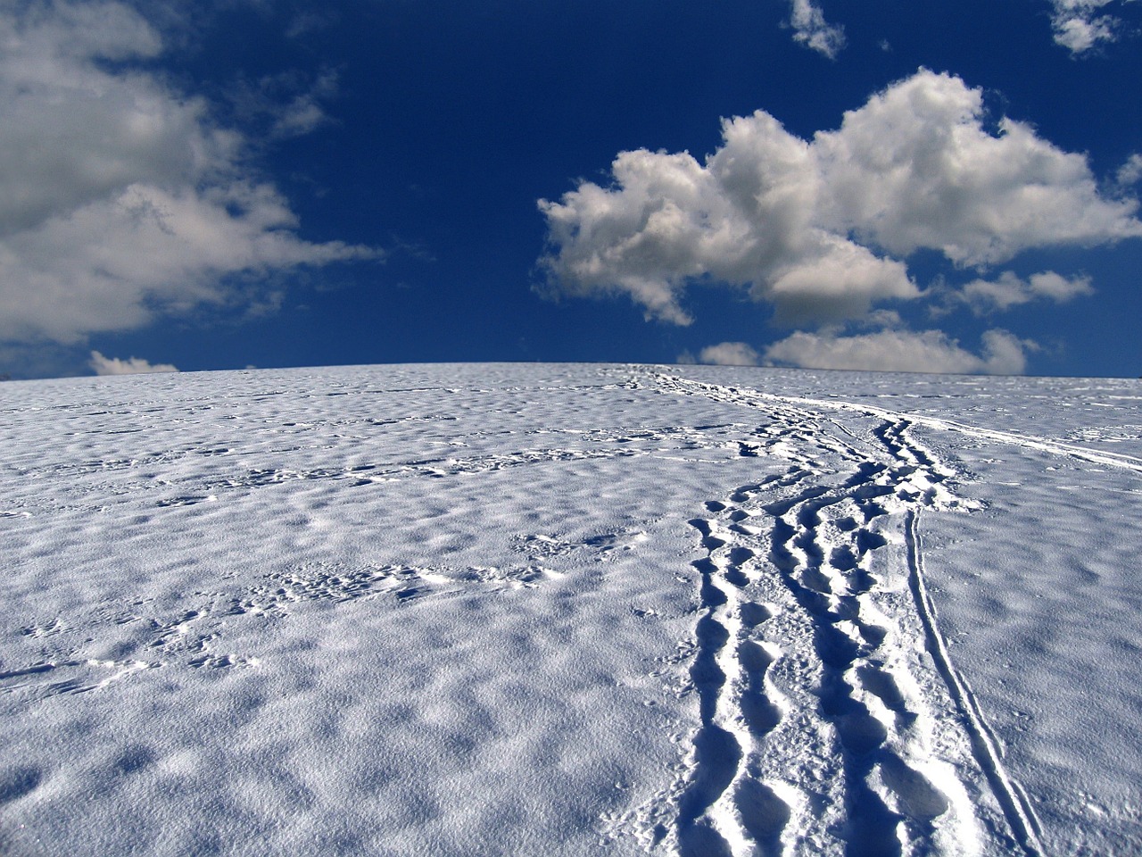 snow tracks traces snow free photo