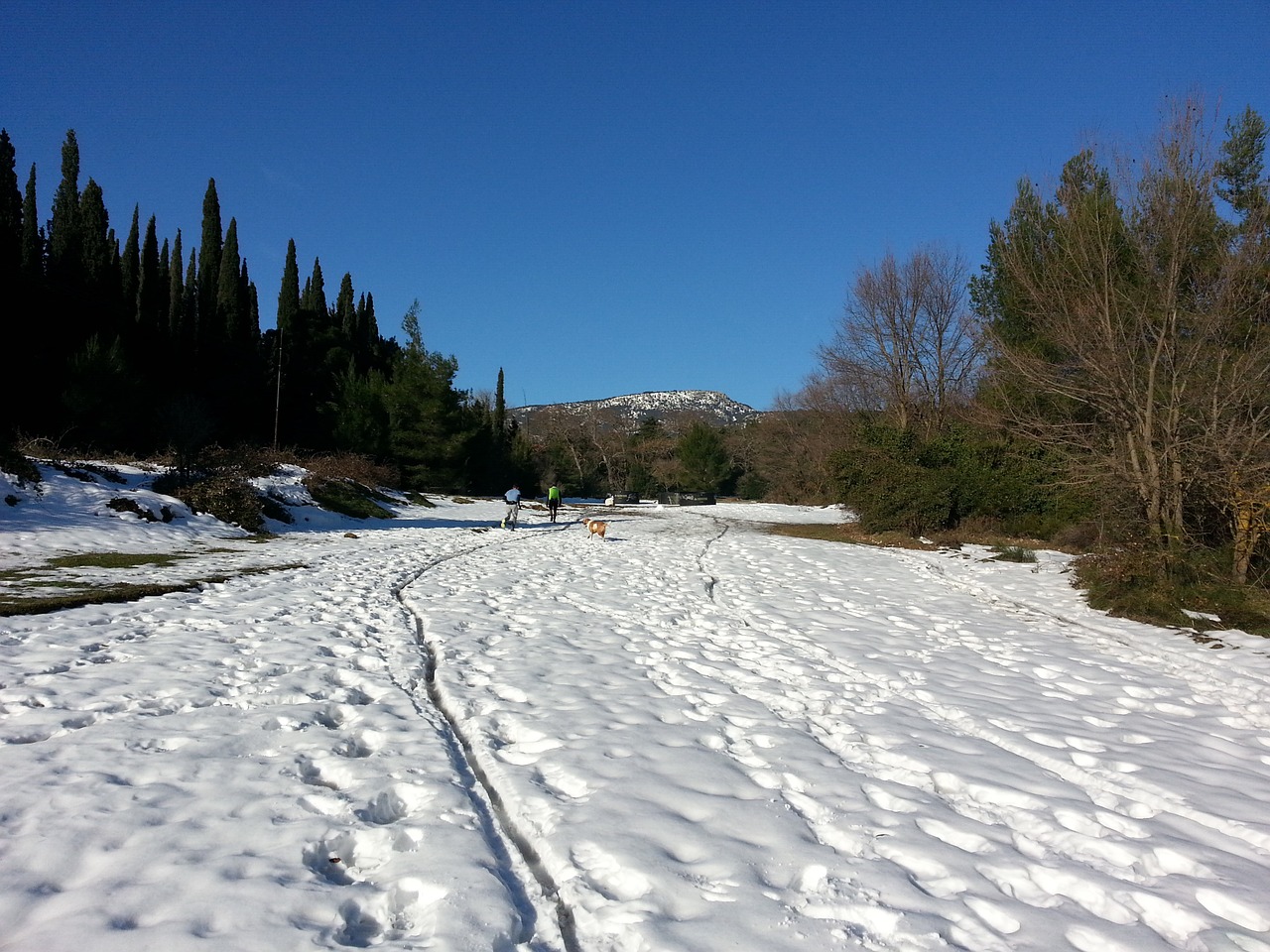 snow trail white winter free photo