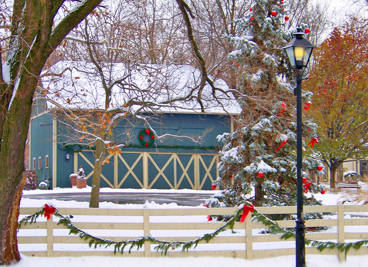 snow trees christmas free photo