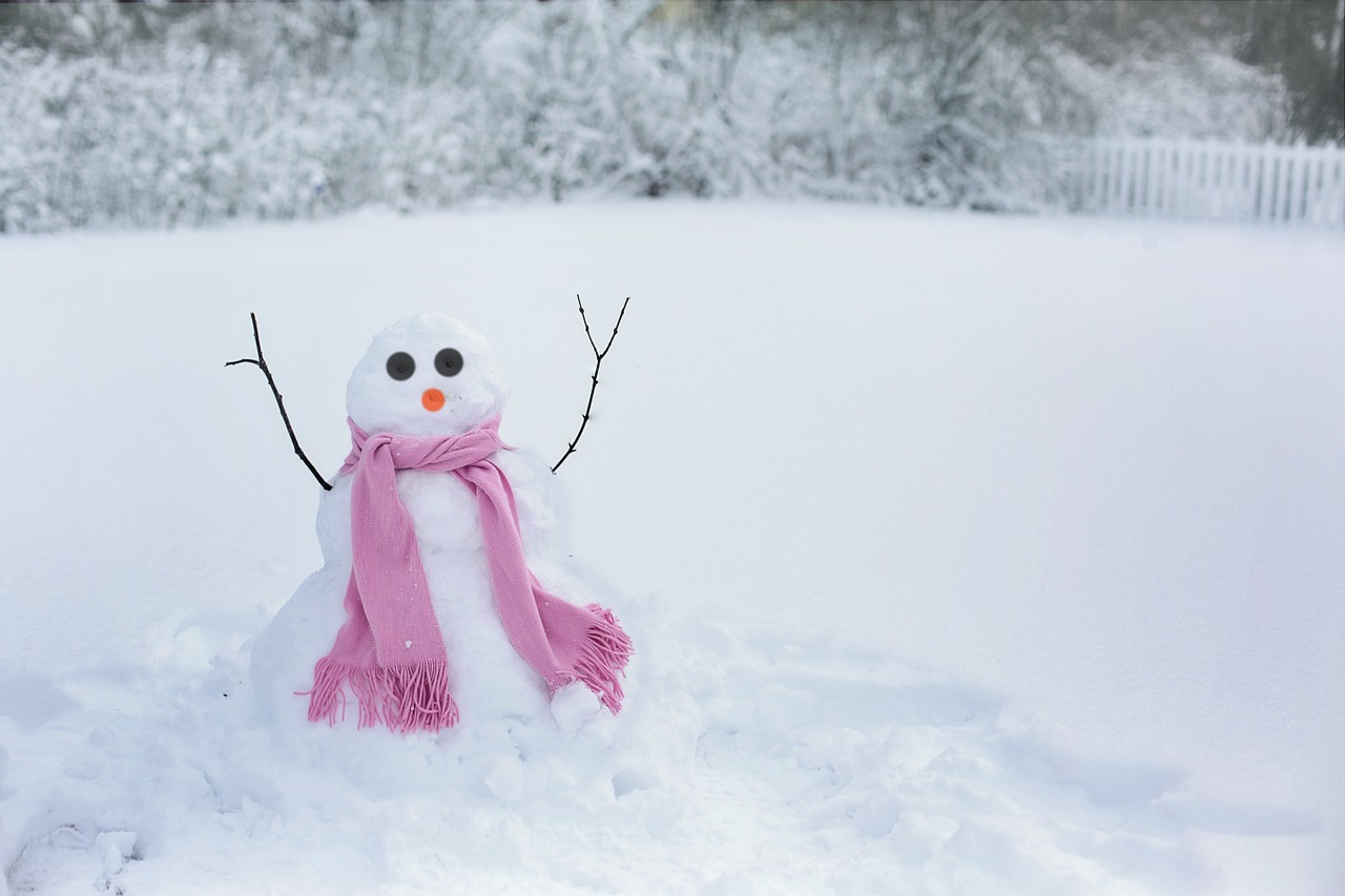 snow woman snowman snow free photo