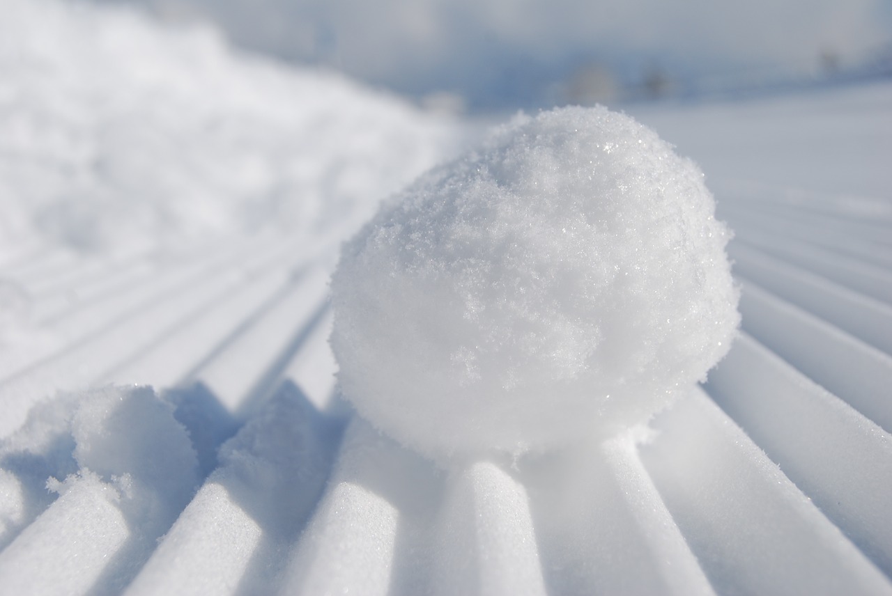 snowball snow snow sifted free photo