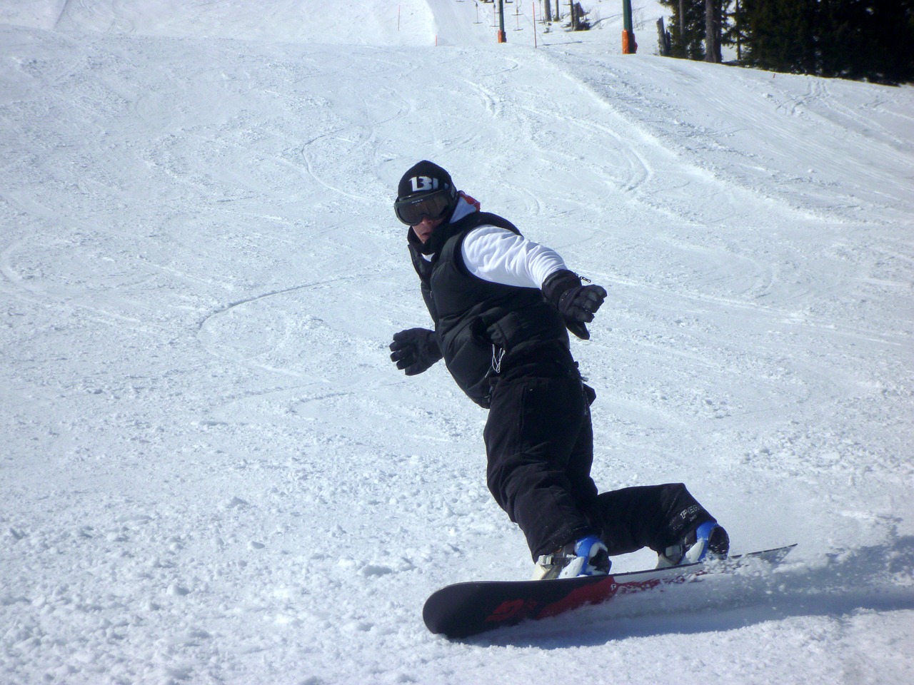 snowboarders snowboard winter free photo